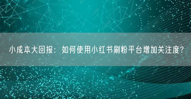 小成本大回报：如何使用小红书刷粉平台增加关注度？