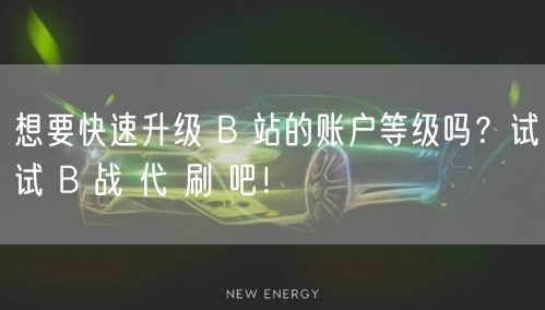 想要快速升级 B 站的账户等级吗？试试 B 战 代 刷 吧！