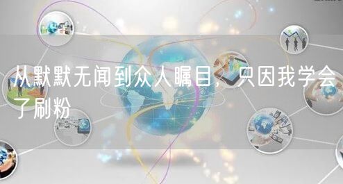 从默默无闻到众人瞩目，只因我学会了刷粉