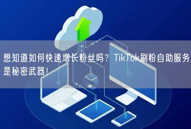 想知道如何快速增长粉丝吗？TikTok刷粉自助服务是秘密武器！