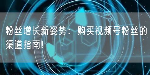 粉丝增长新姿势：购买视频号粉丝的渠道指南！
