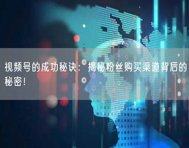 视频号的成功秘诀：揭秘粉丝购买渠道背后的秘密！