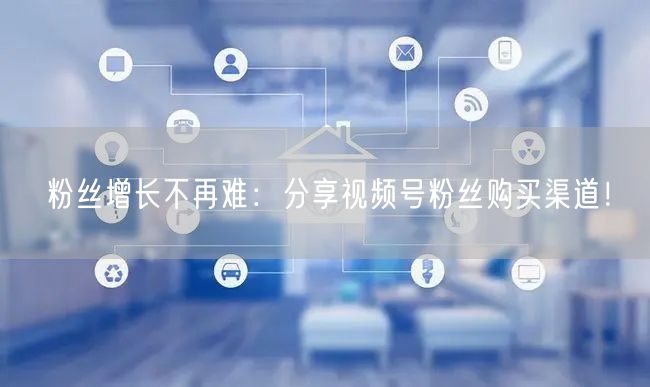 粉丝增长不再难：分享视频号粉丝购买渠道！