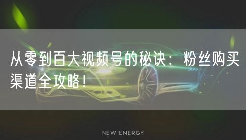 从零到百大视频号的秘诀：粉丝购买渠道全攻略！
