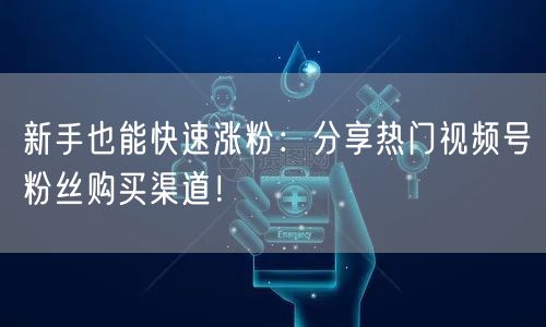 新手也能快速涨粉：分享热门视频号粉丝购买渠道！
