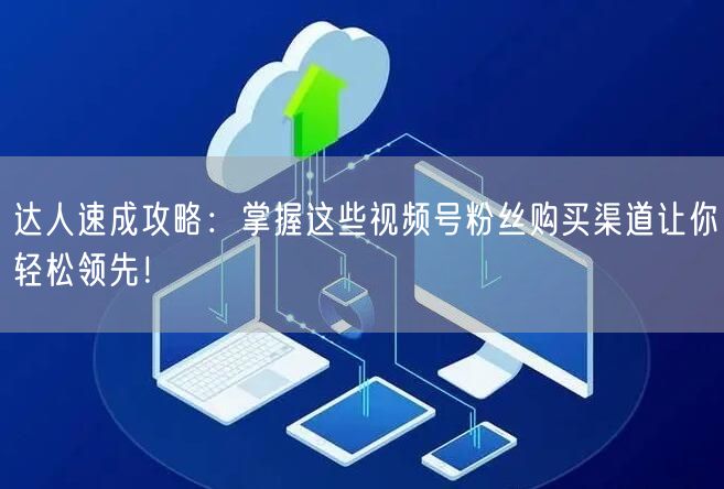 达人速成攻略：掌握这些视频号粉丝购买渠道让你轻松领先！