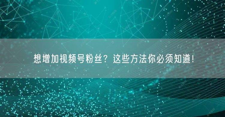 想增加视频号粉丝？这些方法你必须知道！