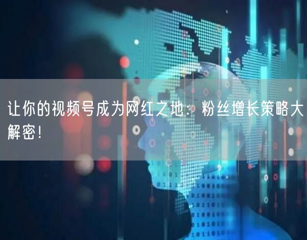 让你的视频号成为网红之地：粉丝增长策略大解密！