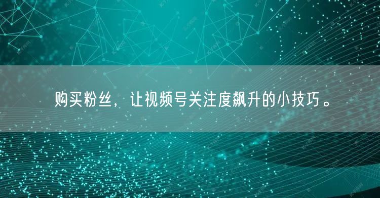 购买粉丝，让视频号关注度飙升的小技巧。