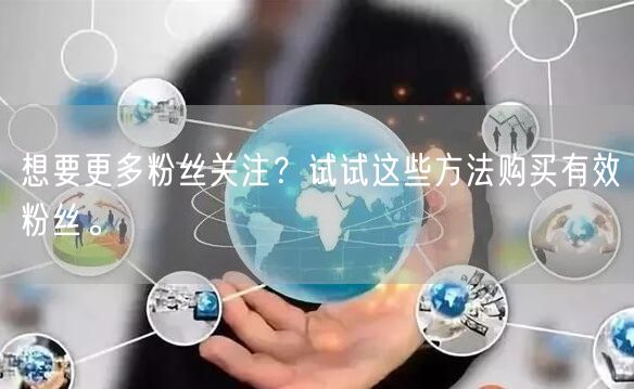 想要更多粉丝关注？试试这些方法购买有效粉丝。