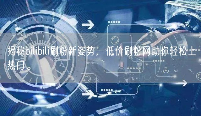 揭秘bilibili刷粉新姿势，低价刷粉网助你轻松上热门。