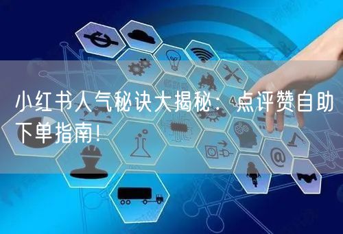 小红书人气秘诀大揭秘：点评赞自助下单指南！