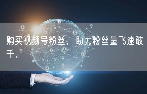 购买视频号粉丝，助力粉丝量飞速破千。