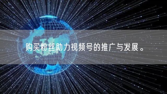 购买粉丝助力视频号的推广与发展。