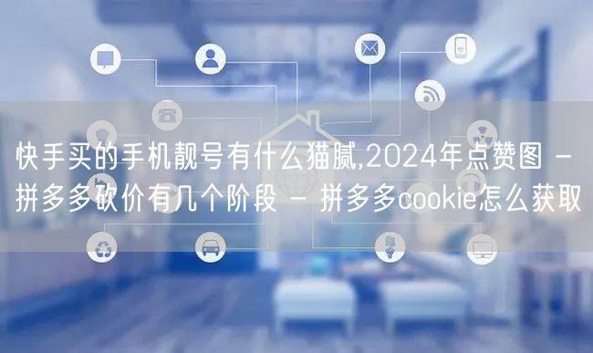 快手买的手机靓号有什么猫腻,2024年点赞图 - 拼多多砍价有几个阶段 - 拼多