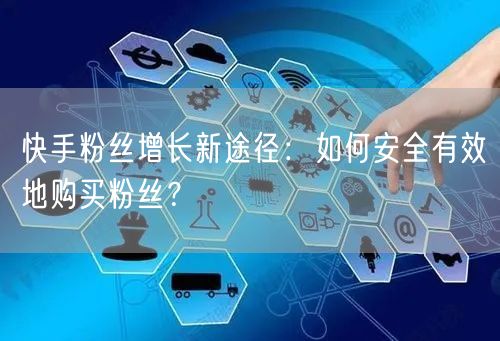 快手粉丝增长新途径：如何安全有效地购买粉丝？