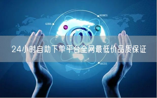 24小时自助下单平台全网最低价品质保证