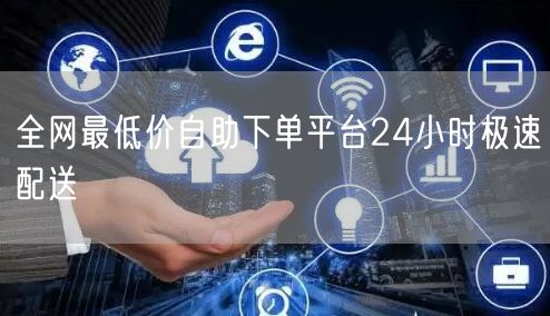 全网最低价自助下单平台24小时极速配送
