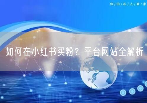 如何在小红书买粉？平台网站全解析