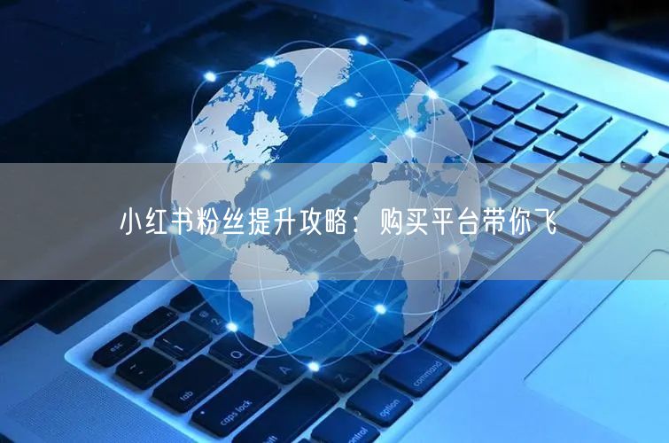 小红书粉丝提升攻略：购买平台带你飞