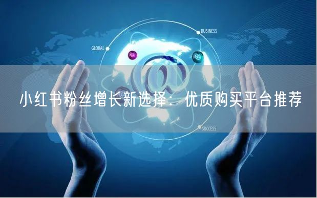 小红书粉丝增长新选择：优质购买平台推荐