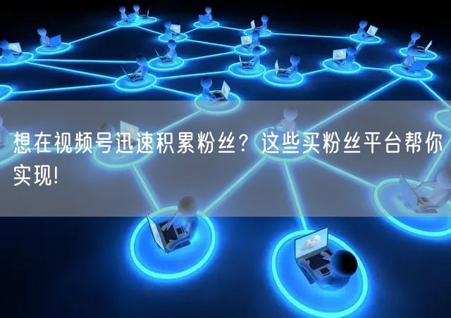 想在视频号迅速积累粉丝？这些买粉丝平台帮你实现!