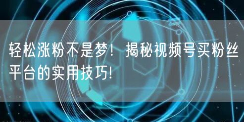 轻松涨粉不是梦！揭秘视频号买粉丝平台的实用技巧!