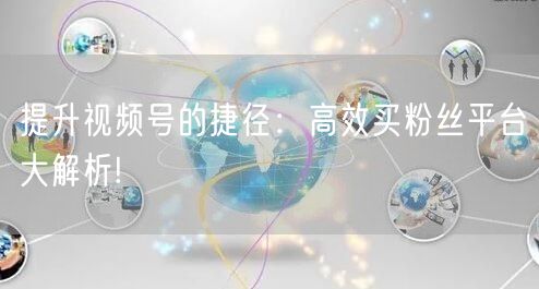 提升视频号的捷径：高效买粉丝平台大解析!