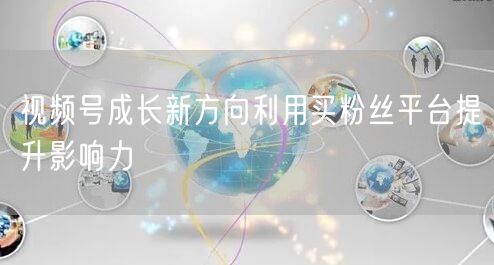 视频号成长新方向利用买粉丝平台提升影响力