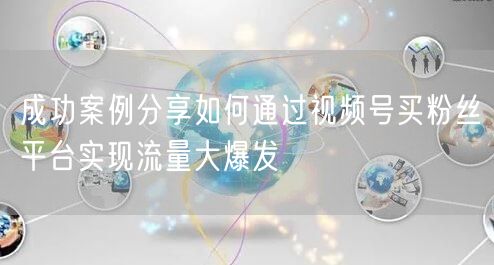 成功案例分享如何通过视频号买粉丝平台实现流量大爆发