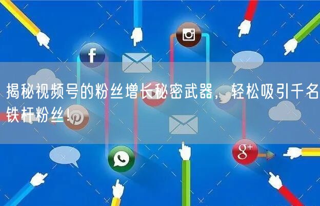 揭秘视频号的粉丝增长秘密武器，轻松吸引千名铁杆粉丝！