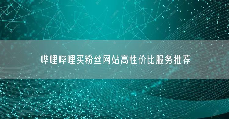 哔哩哔哩买粉丝网站高性价比服务推荐