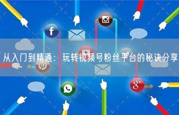 从入门到精通：玩转视频号粉丝平台的秘诀分享