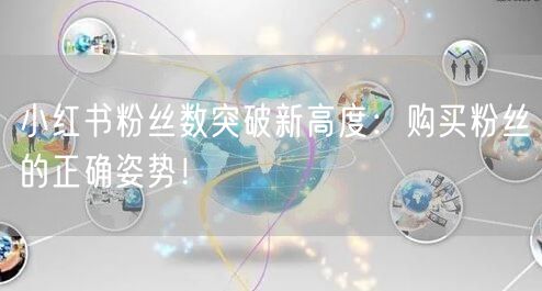 小红书粉丝数突破新高度：购买粉丝的正确姿势！