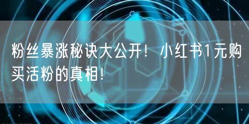 粉丝暴涨秘诀大公开！小红书1元购买活粉的真相！