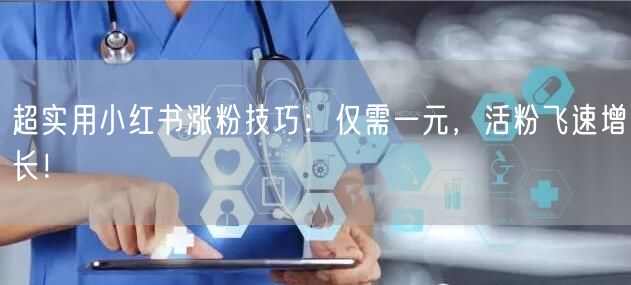 超实用小红书涨粉技巧：仅需一元，活粉飞速增长！