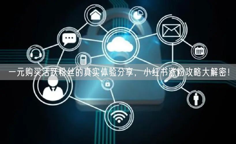 一元购买活跃粉丝的真实体验分享，小红书涨粉攻略大解密！