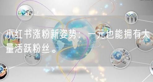 小红书涨粉新姿势：一元也能拥有大量活跃粉丝。