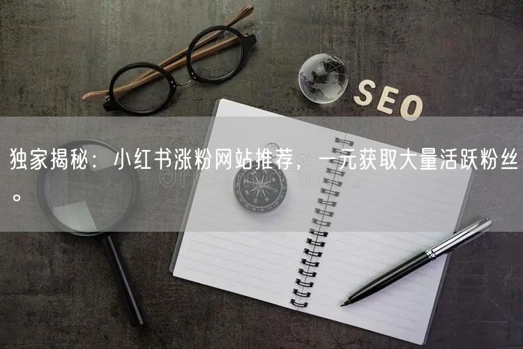 独家揭秘：小红书涨粉网站推荐，一元获取大量活跃粉丝。