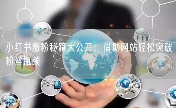 小红书涨粉秘籍大公开：借助网站轻松突破粉丝瓶颈