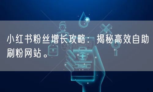 小红书粉丝增长攻略：揭秘高效自助刷粉网站。