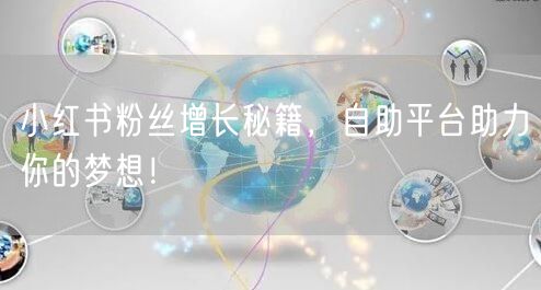 小红书粉丝增长秘籍，自助平台助力你的梦想！