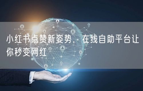 小红书点赞新姿势，在线自助平台让你秒变网红