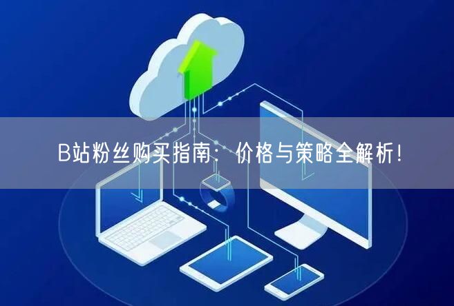 B站粉丝购买指南：价格与策略全解析！