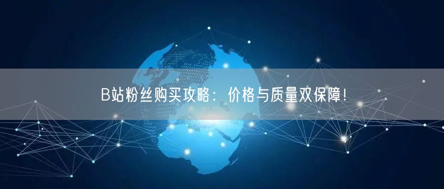 B站粉丝购买攻略：价格与质量双保障！