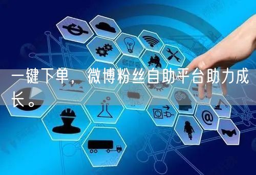 一键下单，微博粉丝自助平台助力成长。